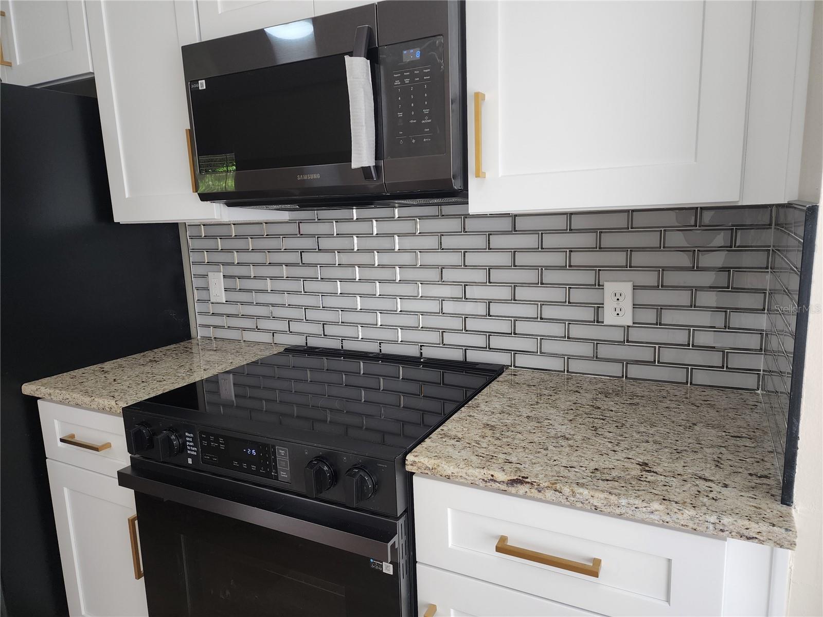 101 DOVETAIL CT, APOPKA, FL, 32703