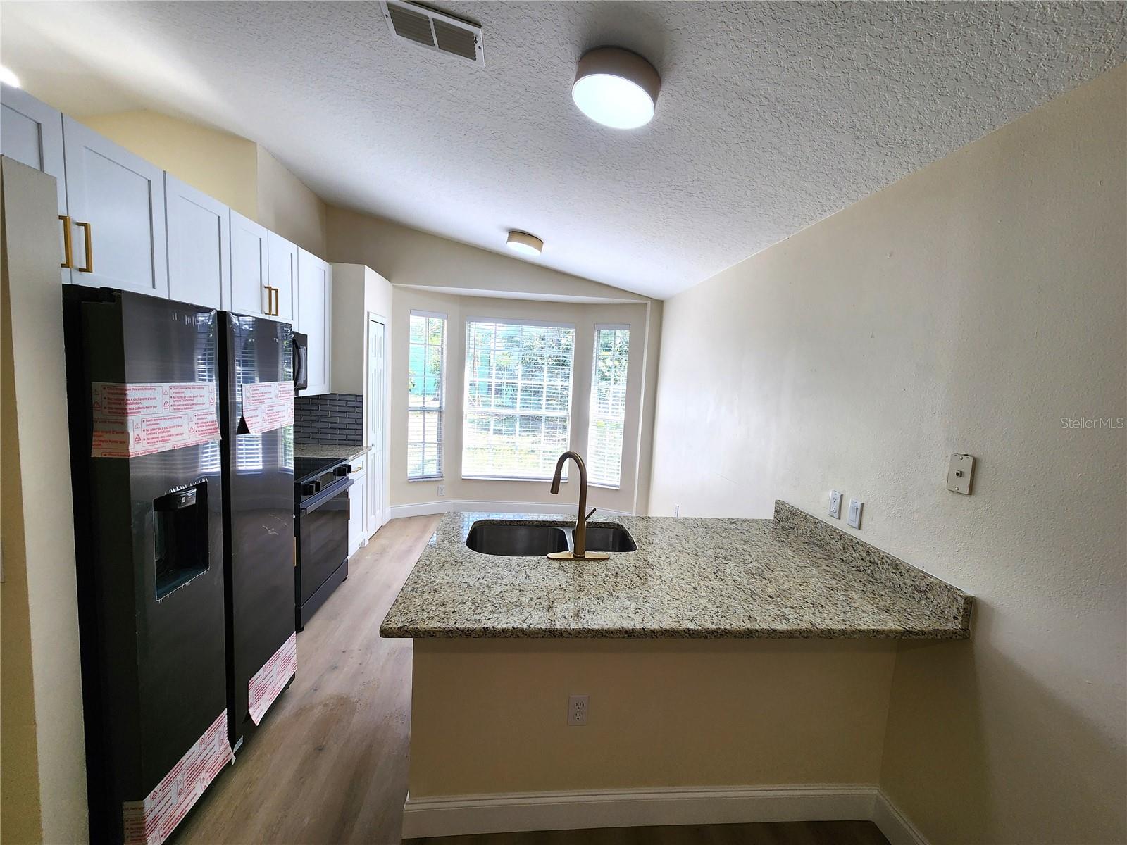 101 DOVETAIL CT, APOPKA, FL, 32703