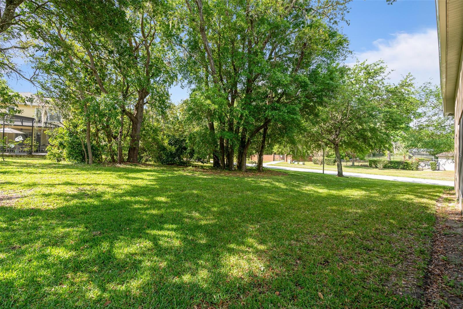 896 ROCK CREEK ST, APOPKA, FL, 32712