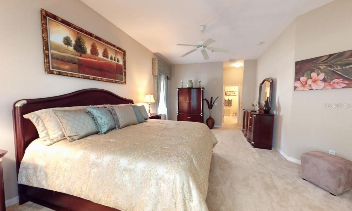 896 ROCK CREEK ST, APOPKA, FL, 32712