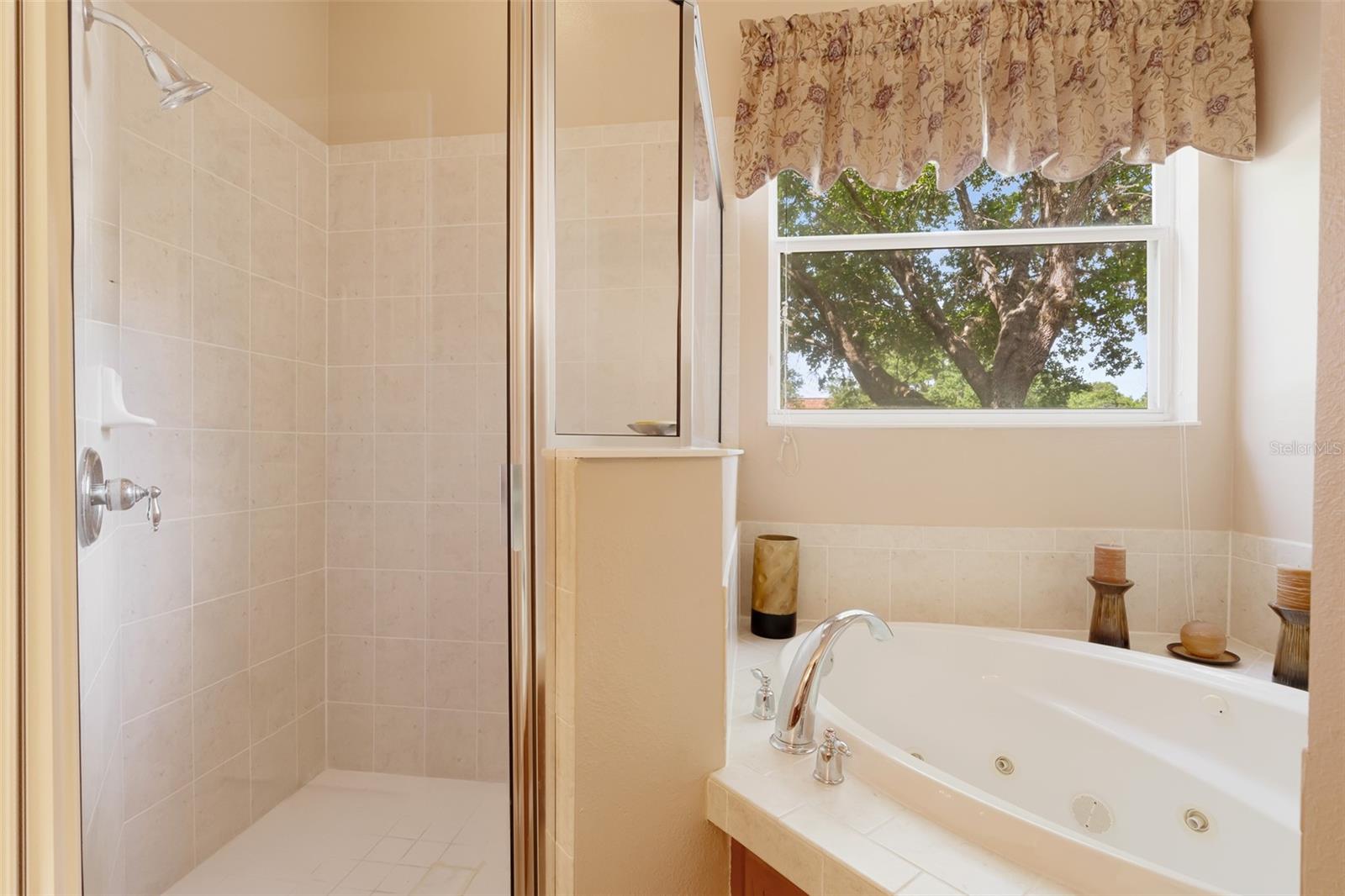 896 ROCK CREEK ST, APOPKA, FL, 32712