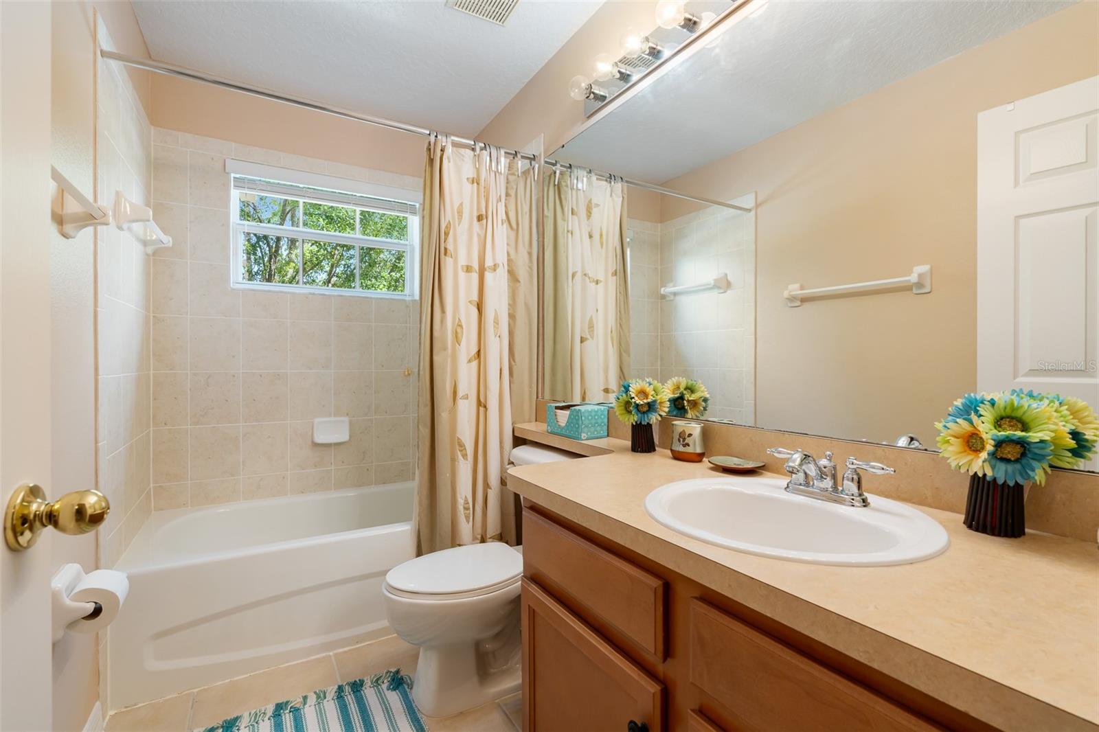 896 ROCK CREEK ST, APOPKA, FL, 32712