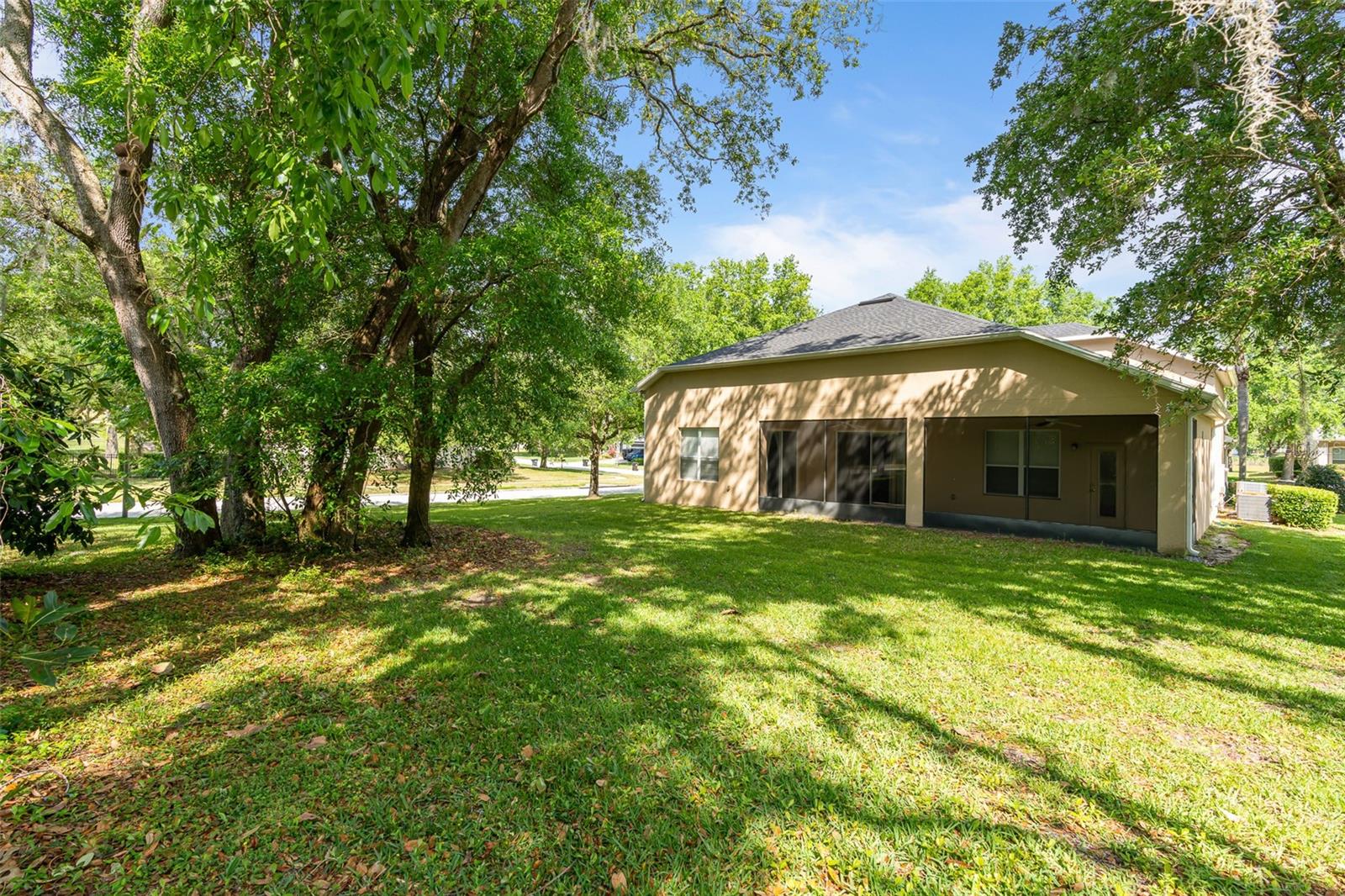 896 ROCK CREEK ST, APOPKA, FL, 32712