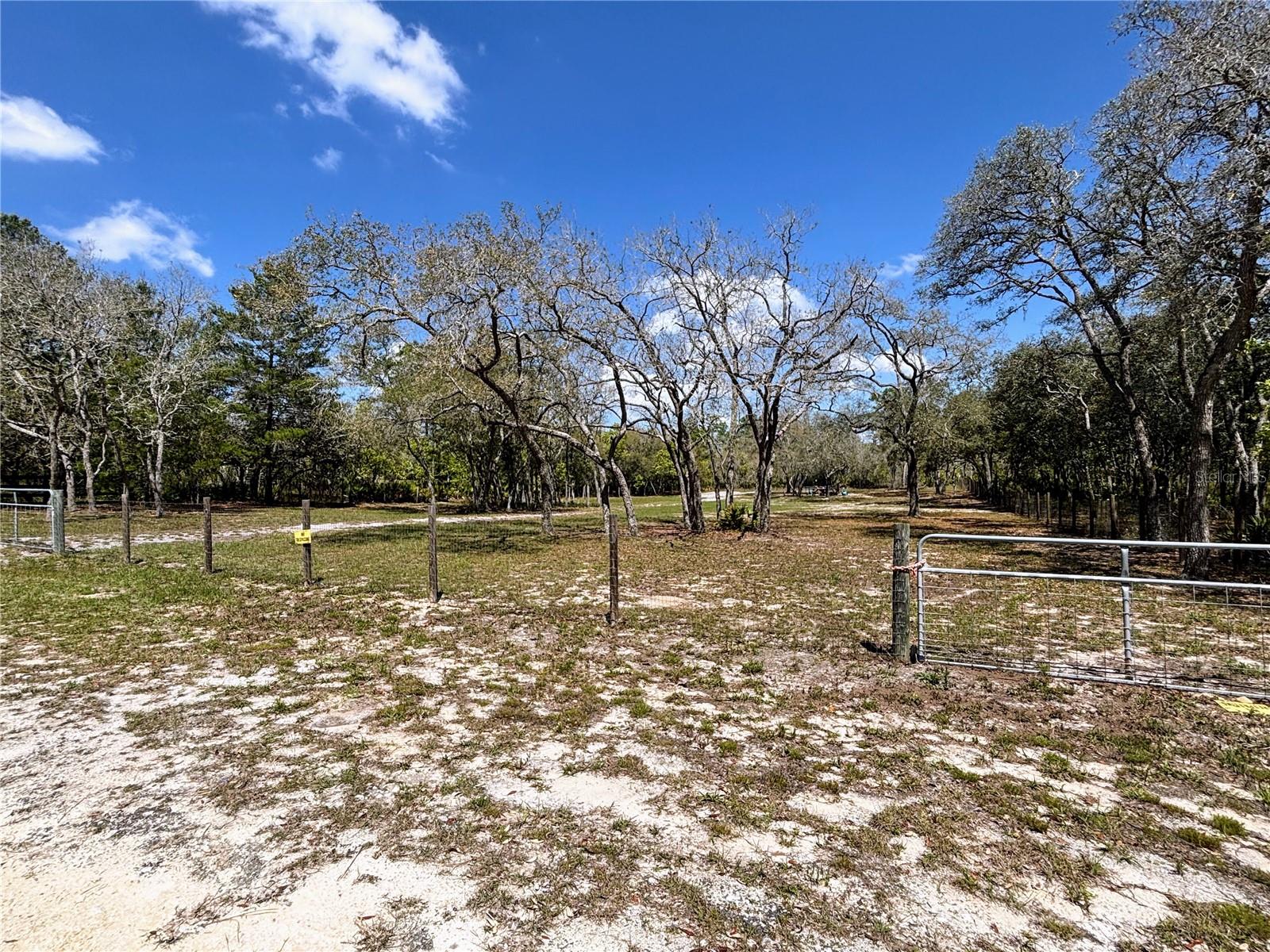 11103 SNOW LARK AVE, WEEKI WACHEE, FL, 34614