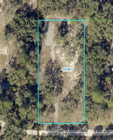 11103 SNOW LARK AVE, WEEKI WACHEE, FL, 34614