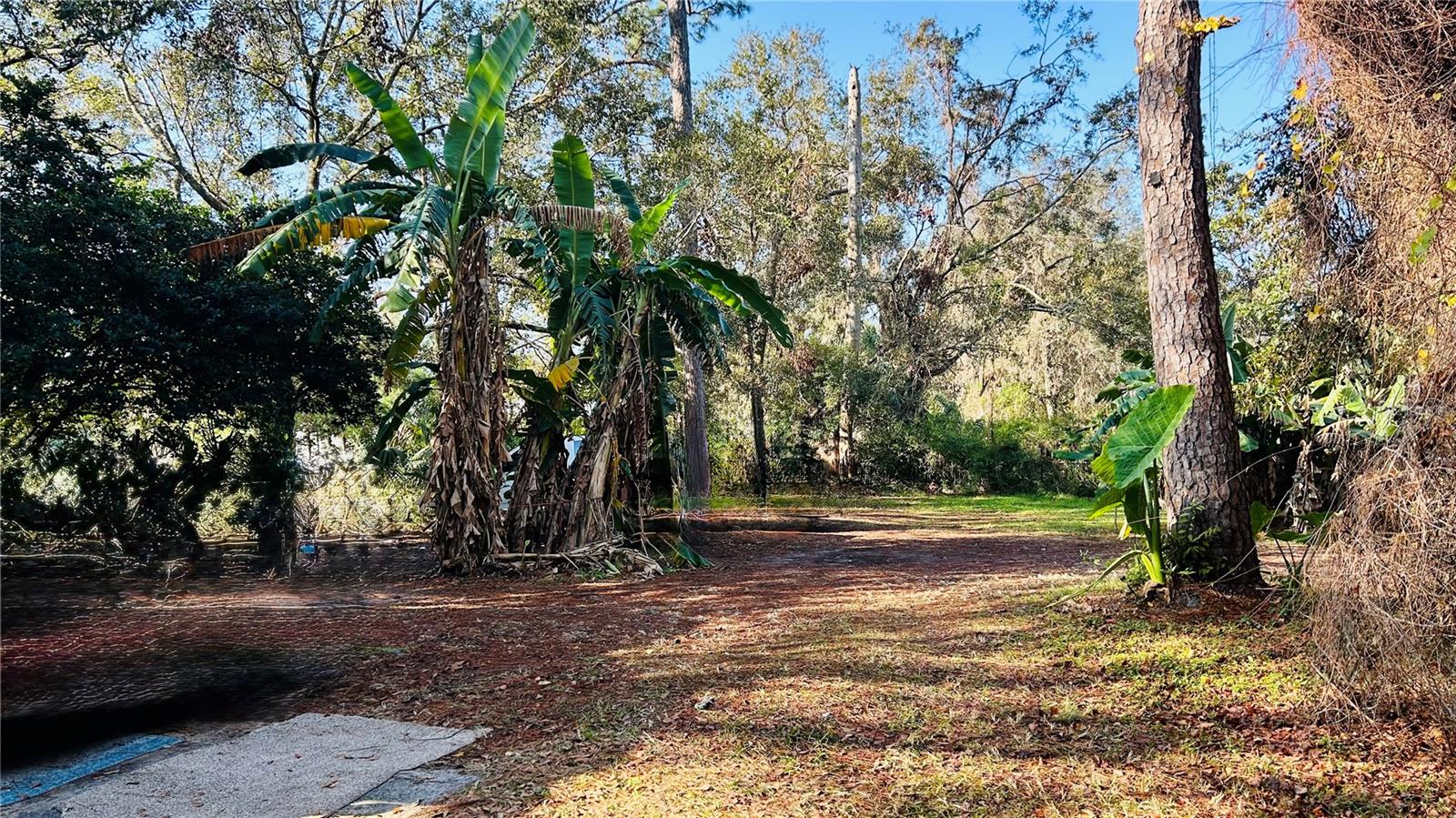 18186 FERRY AVE, BROOKSVILLE, FL, 34604