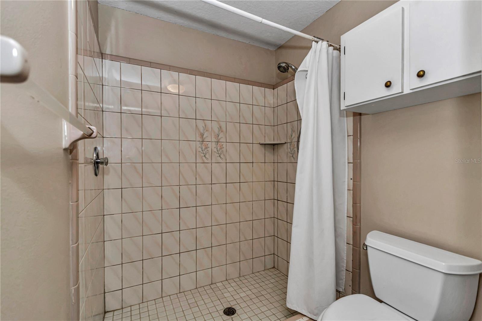 35344 WILD CHERRY LN, FRUITLAND PARK, FL, 34731