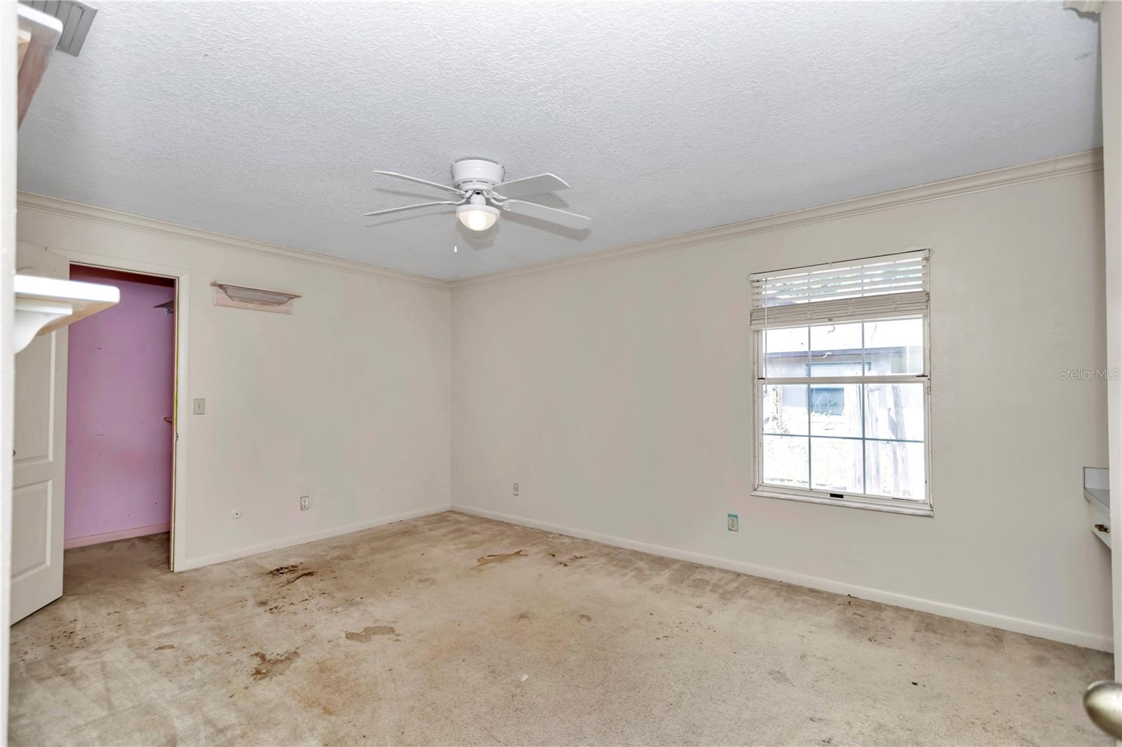 35344 WILD CHERRY LN, FRUITLAND PARK, FL, 34731