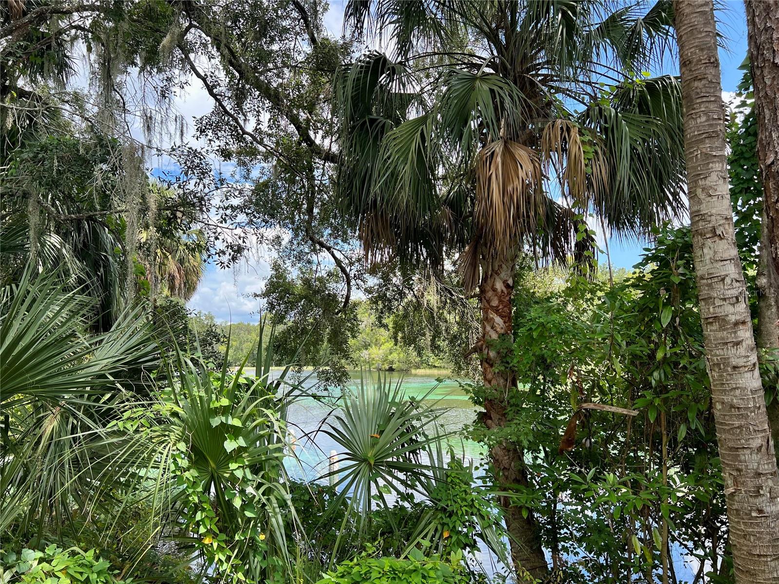 SW 85 LOOP, DUNNELLON, FL, 34432