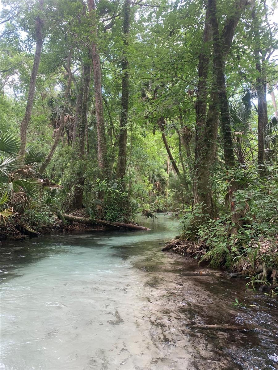 SW 85 LOOP, DUNNELLON, FL, 34432