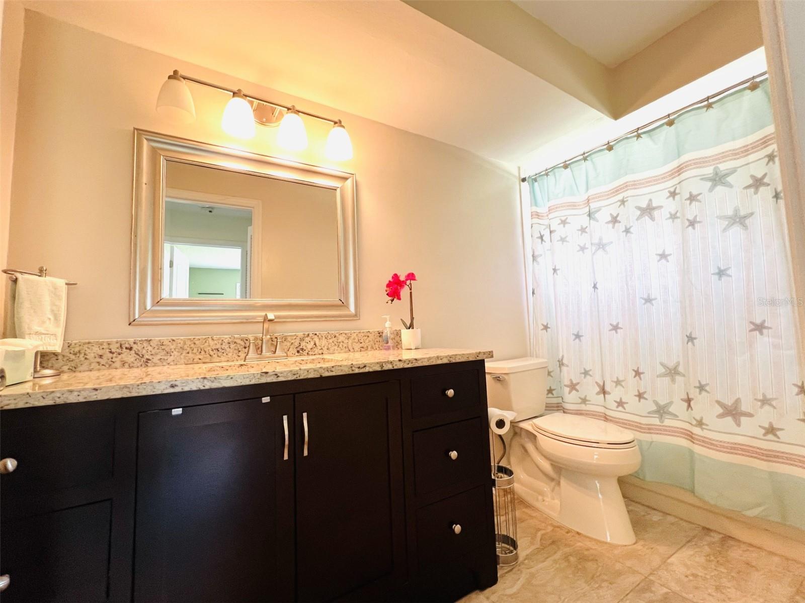 1383 GLENGARRY DR, PALM HARBOR, FL, 34684