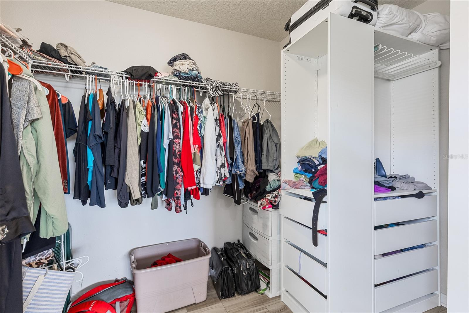 6102 ROSEATE SPOONBILL DR, WINDERMERE, FL, 34786