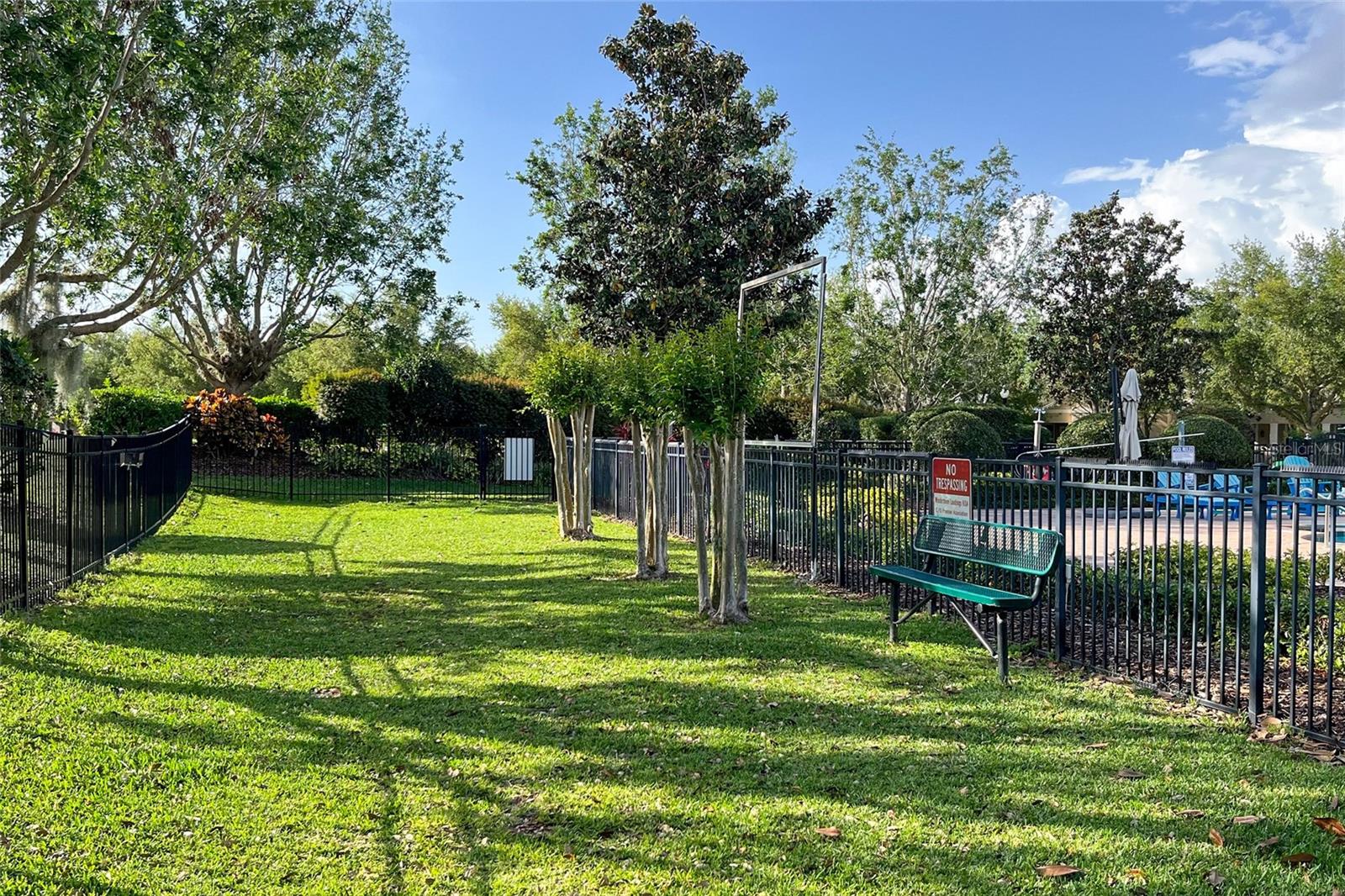 6102 ROSEATE SPOONBILL DR, WINDERMERE, FL, 34786