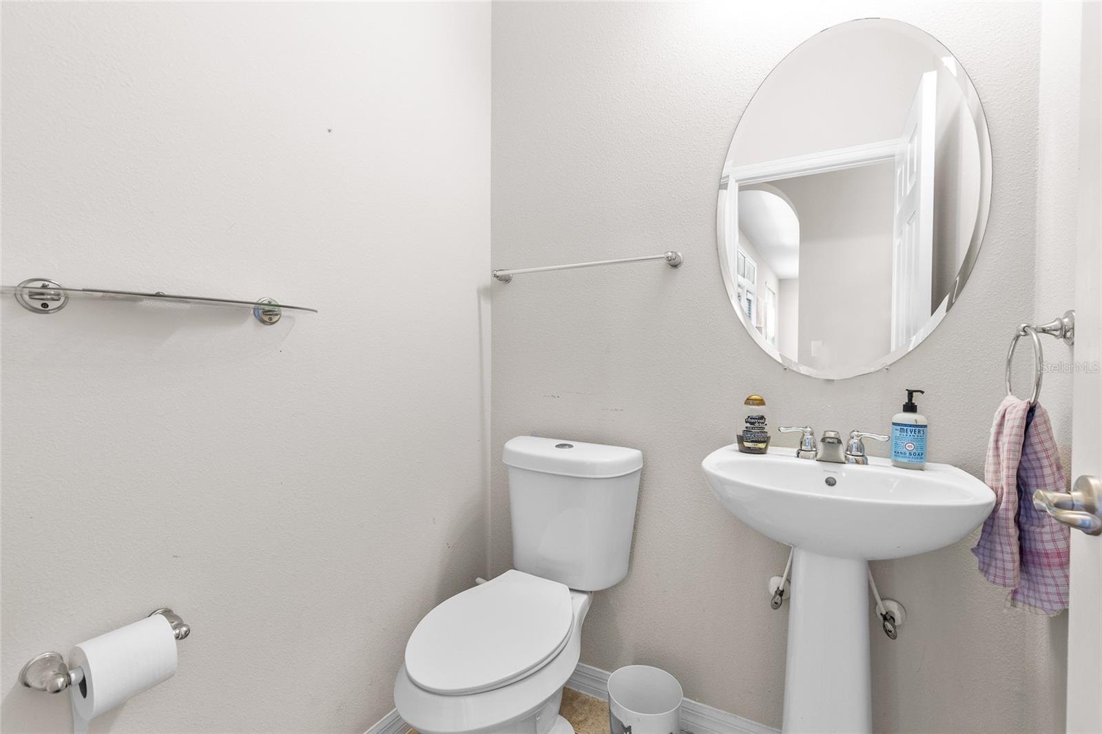 6102 ROSEATE SPOONBILL DR, WINDERMERE, FL, 34786