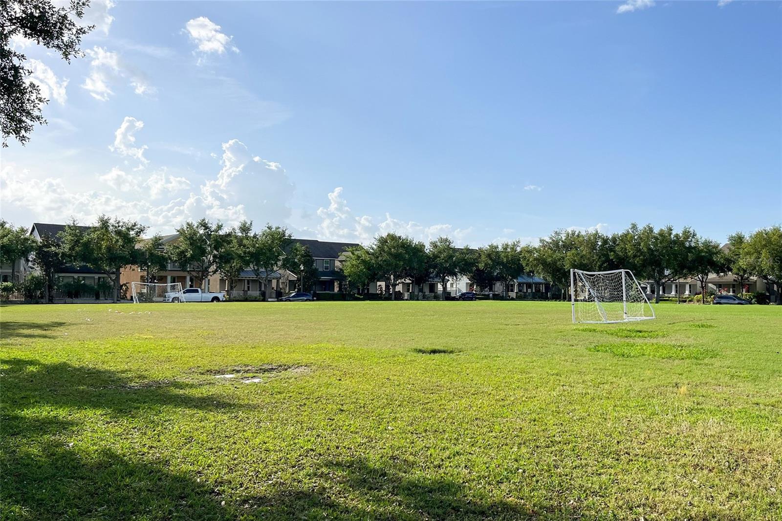 6102 ROSEATE SPOONBILL DR, WINDERMERE, FL, 34786