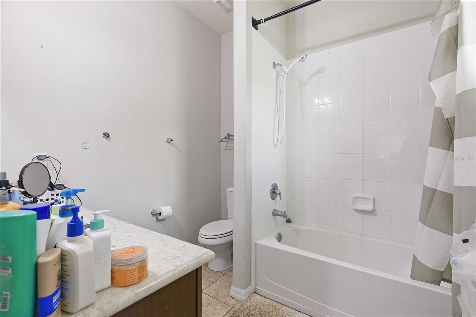 6102 ROSEATE SPOONBILL DR, WINDERMERE, FL, 34786