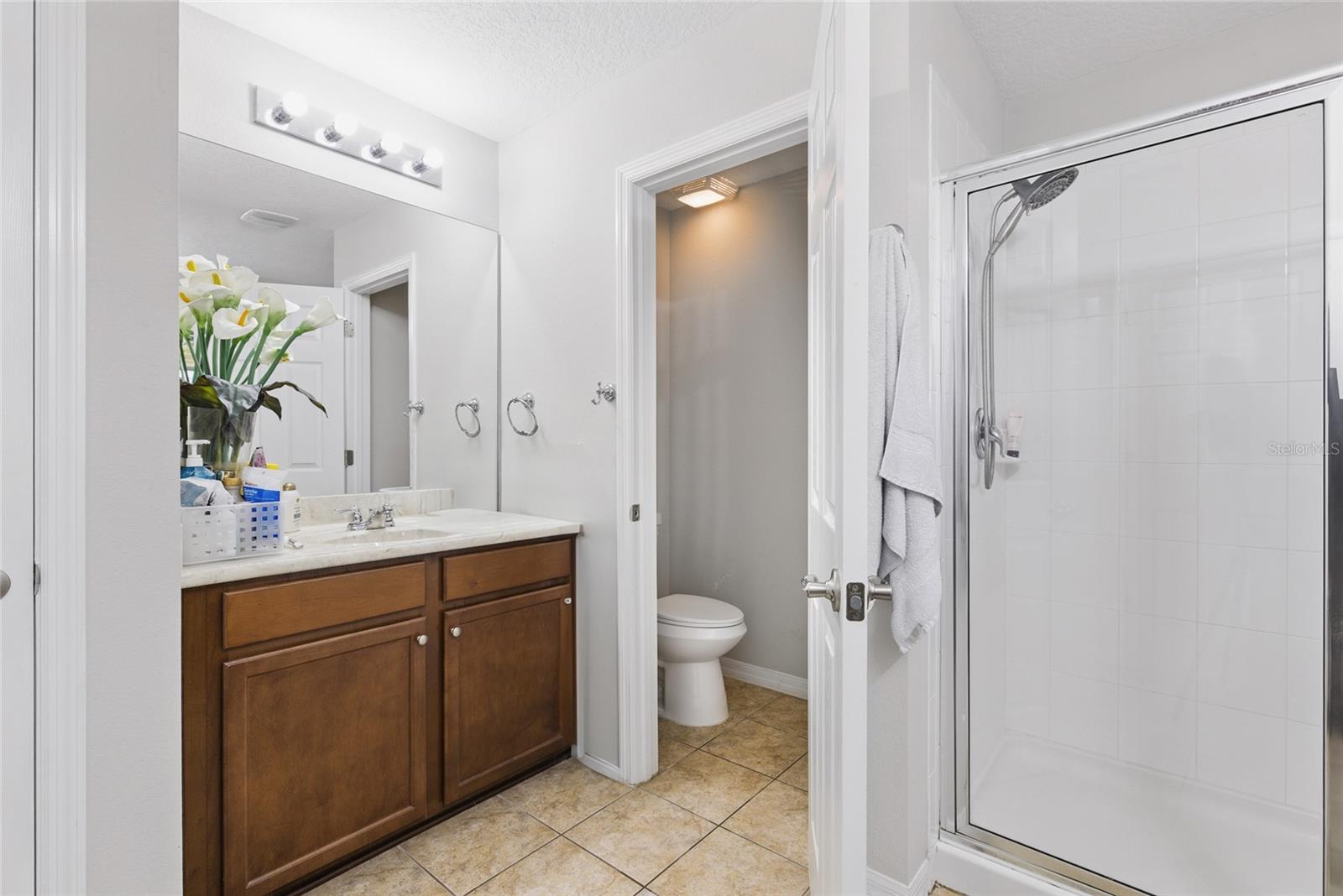 6102 ROSEATE SPOONBILL DR, WINDERMERE, FL, 34786