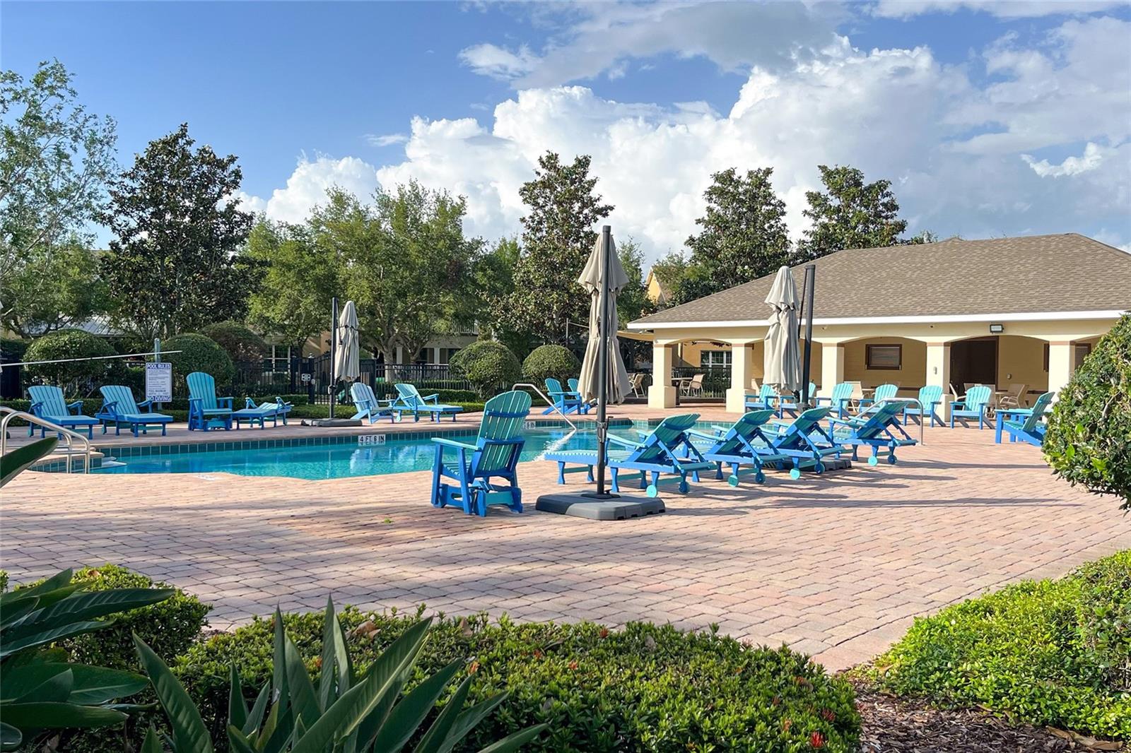 6102 ROSEATE SPOONBILL DR, WINDERMERE, FL, 34786