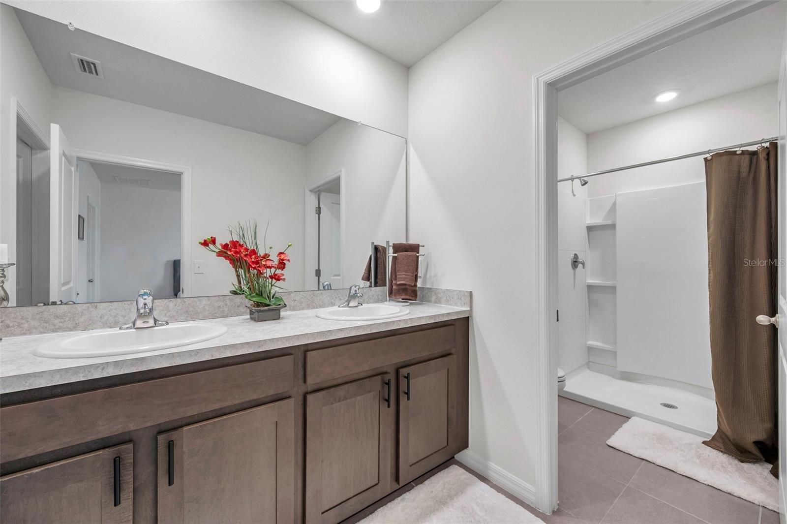 2932 BELUGA BAY DR, ODESSA, FL, 33556