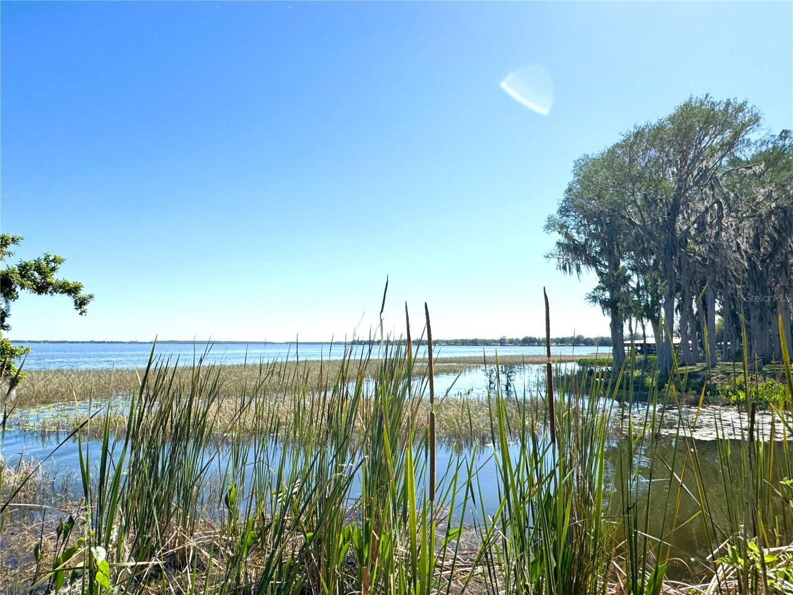 12045 EAGLE POINT CT, LEESBURG, FL, 34788