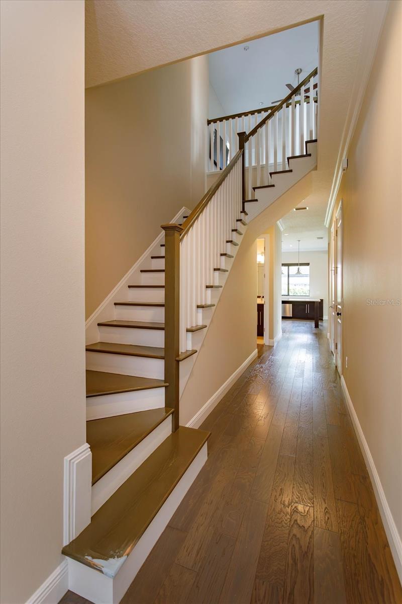 1441 ONECO AVE, WINTER PARK, FL, 32789