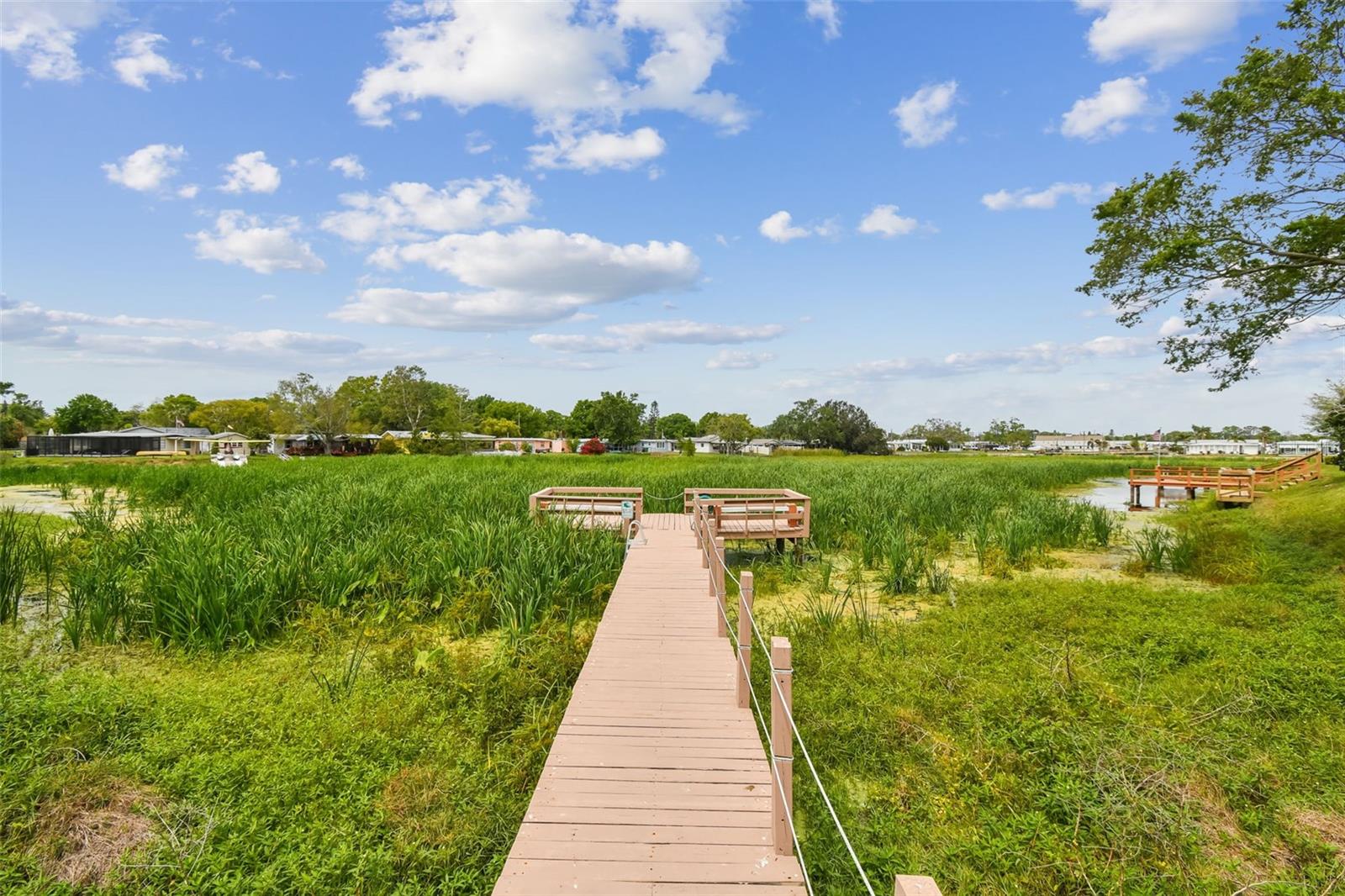 10182 SEMINOLE ISLAND DR, LARGO, FL, 33773