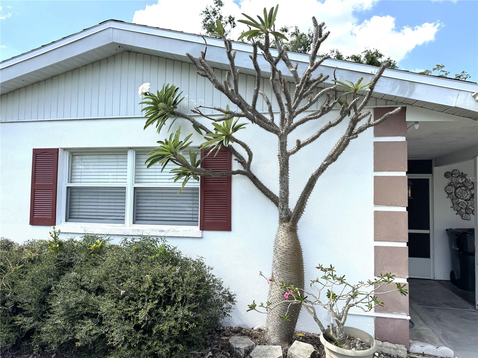 3321 FULLER ST #105, SARASOTA, FL, 34231