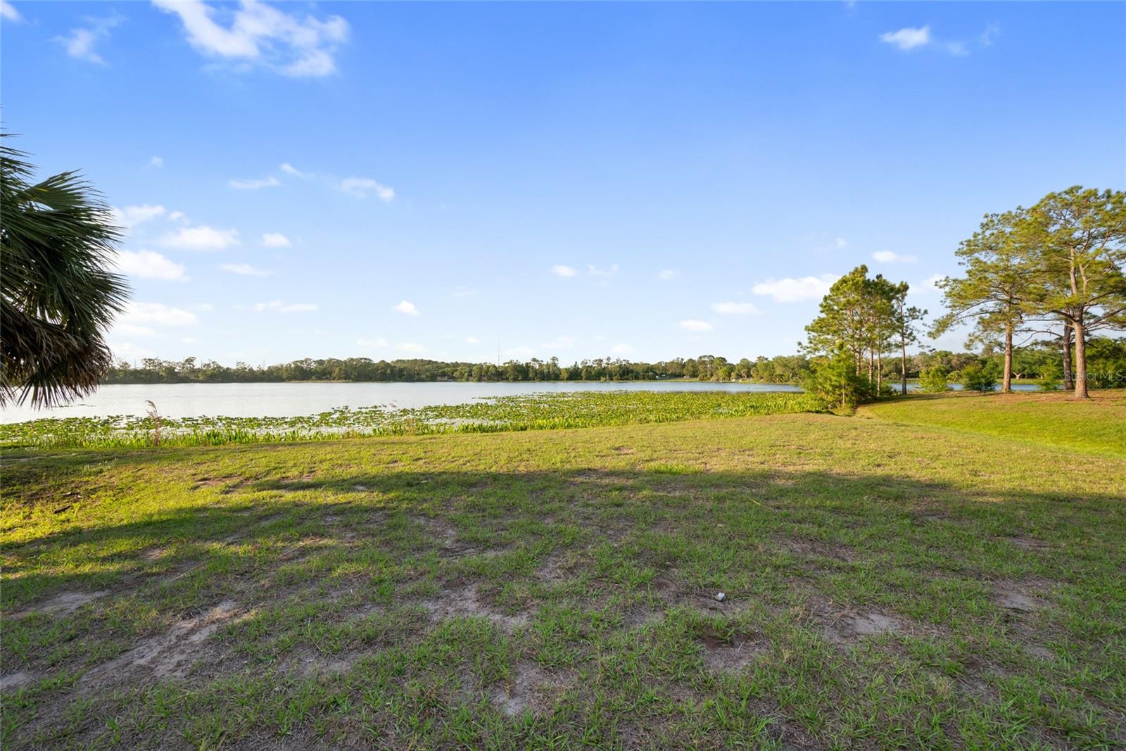 10601 119TH ST N, LARGO, FL, 33778