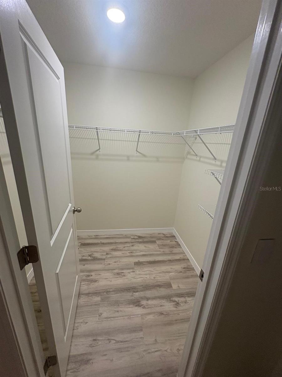 4119 AUTUMN AMBER DR, SPRING HILL, FL, 34609