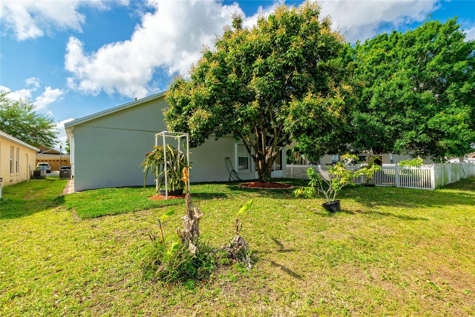 11055 ROUSE RUN CIR, ORLANDO, FL, 32817