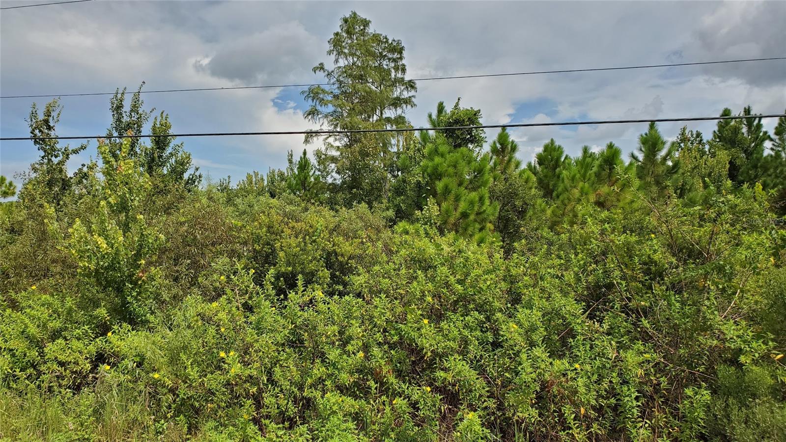QUAIL NEST LN, NEW SMYRNA BEACH, FL, 32168