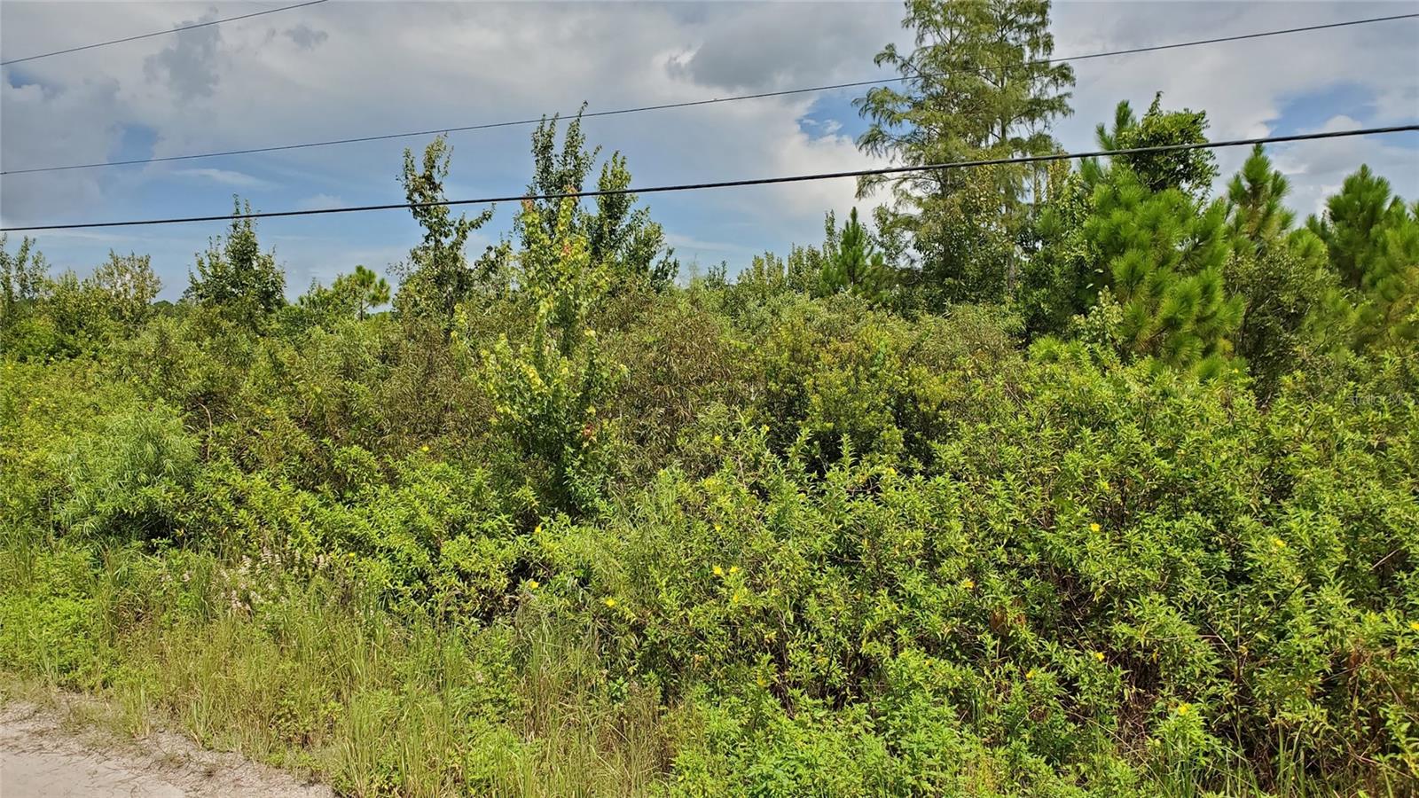 QUAIL NEST LN, NEW SMYRNA BEACH, FL, 32168