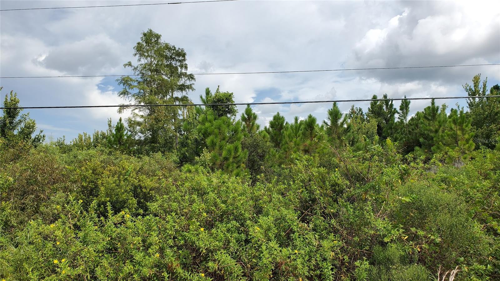 QUAIL NEST LN, NEW SMYRNA BEACH, FL, 32168