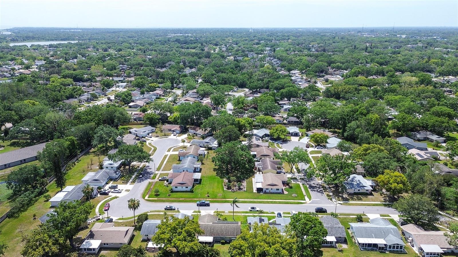2955 BRIAR CLIFF DR, PALM HARBOR, FL, 34684