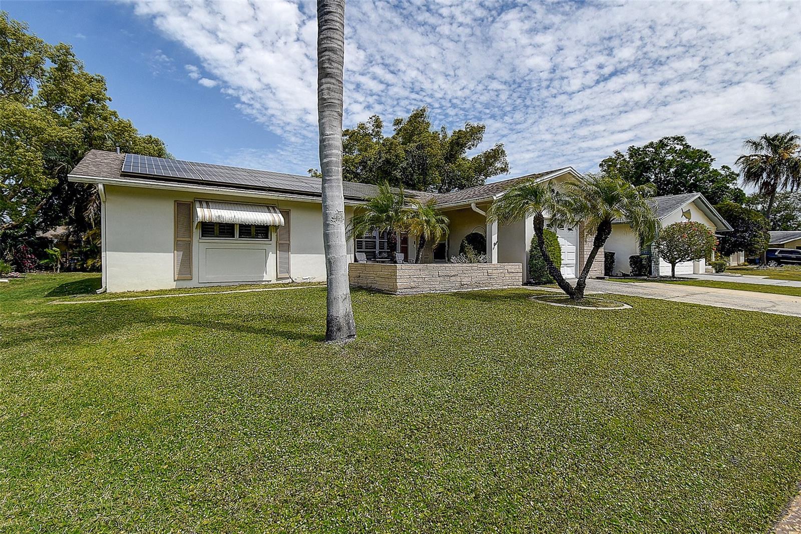2955 BRIAR CLIFF DR, PALM HARBOR, FL, 34684