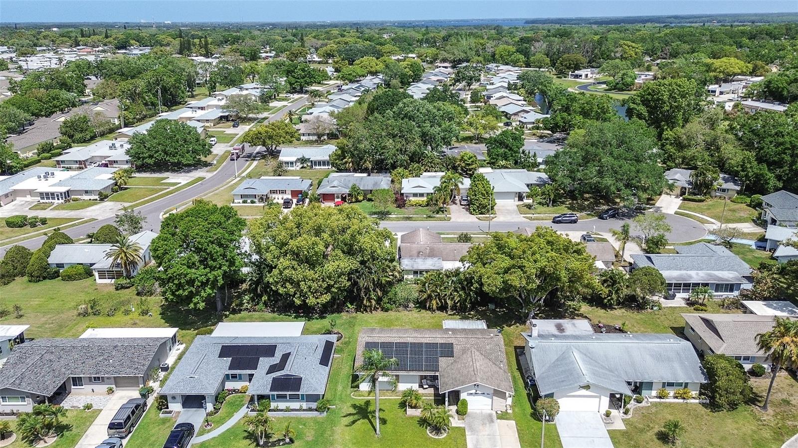2955 BRIAR CLIFF DR, PALM HARBOR, FL, 34684