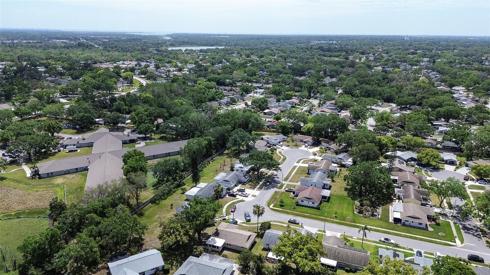 2955 BRIAR CLIFF DR, PALM HARBOR, FL, 34684