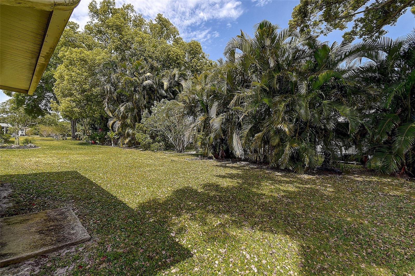 2955 BRIAR CLIFF DR, PALM HARBOR, FL, 34684