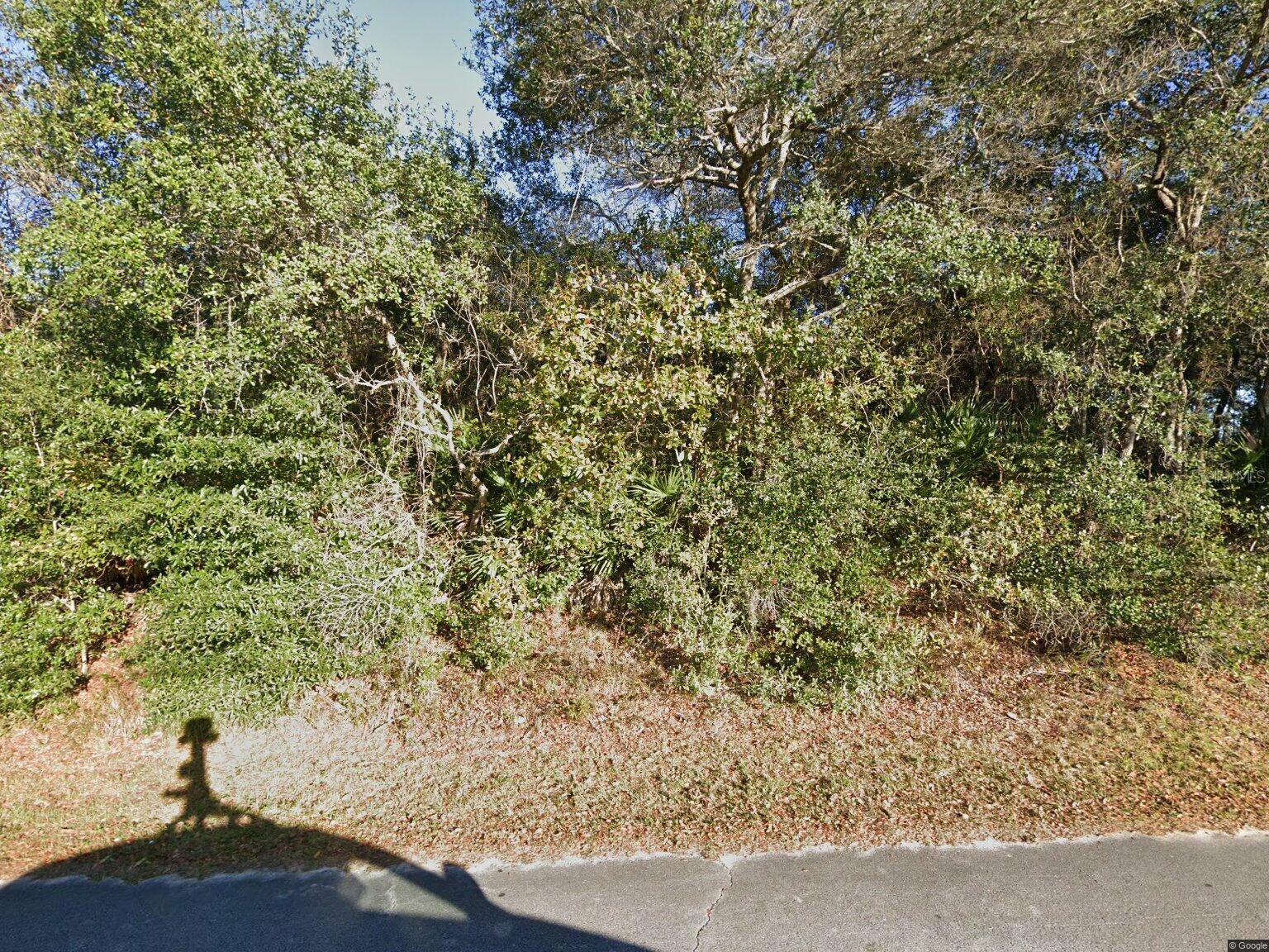 215 BUENA VISTA ST, DEBARY, FL, 32713