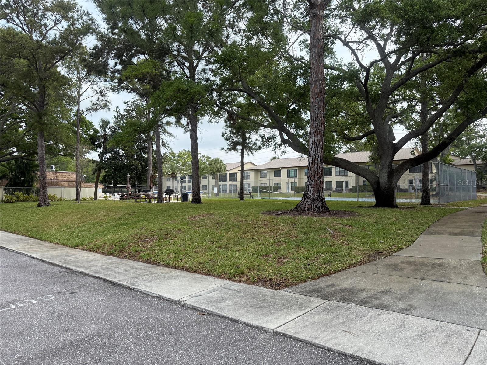 2400 WINDING CREEK BLVD #18B-203, CLEARWATER, FL, 33761