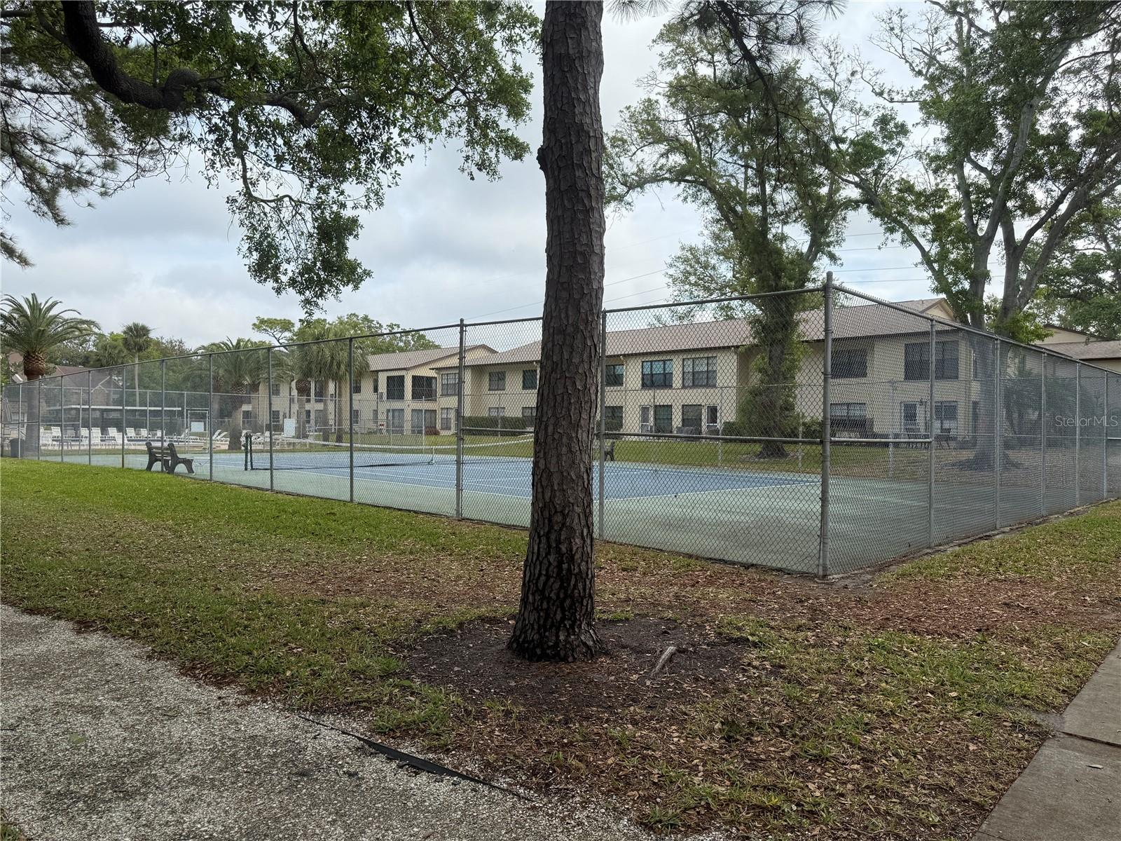 2400 WINDING CREEK BLVD #18B-203, CLEARWATER, FL, 33761