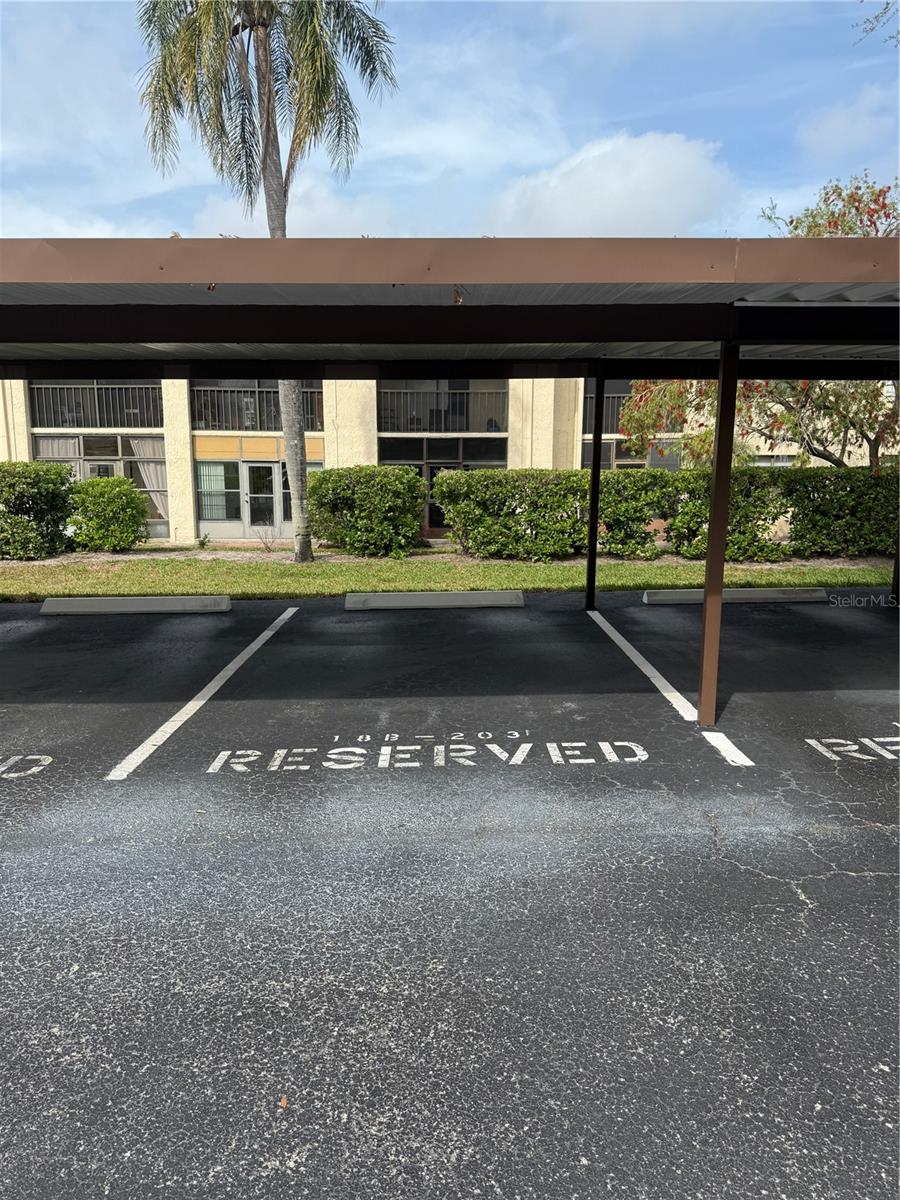 2400 WINDING CREEK BLVD #18B-203, CLEARWATER, FL, 33761