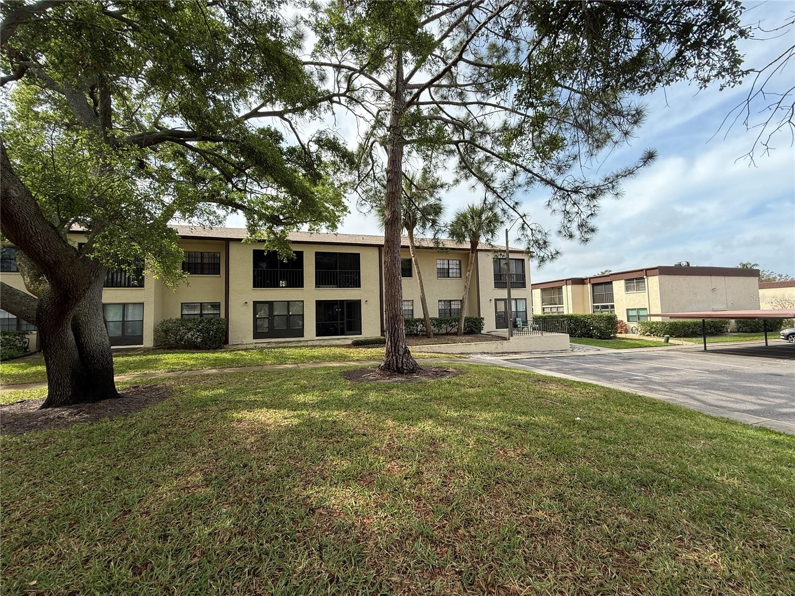 2400 WINDING CREEK BLVD #18B-203, CLEARWATER, FL, 33761