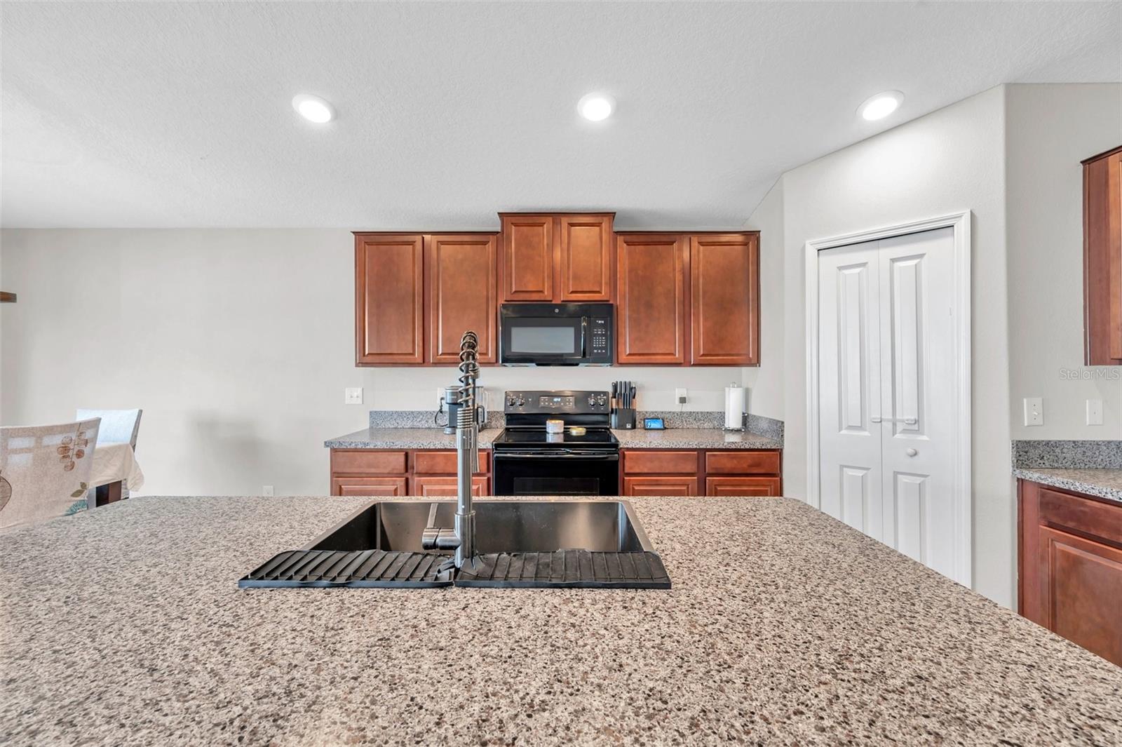 4201 GLOBE THISTLE DR, TAMPA, FL, 33619