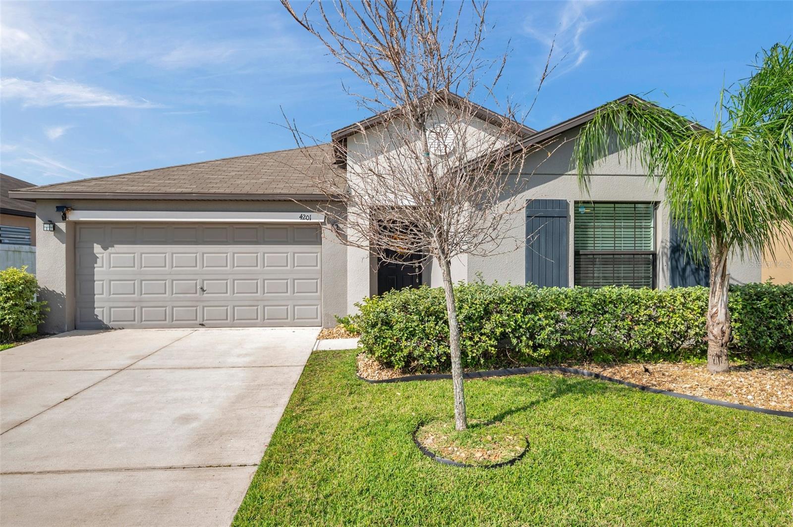 4201 GLOBE THISTLE DR, TAMPA, FL, 33619