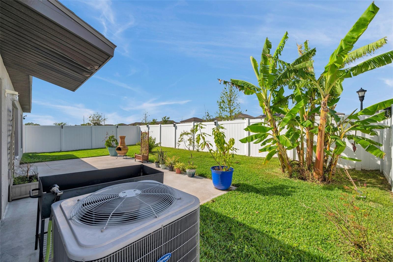 4201 GLOBE THISTLE DR, TAMPA, FL, 33619