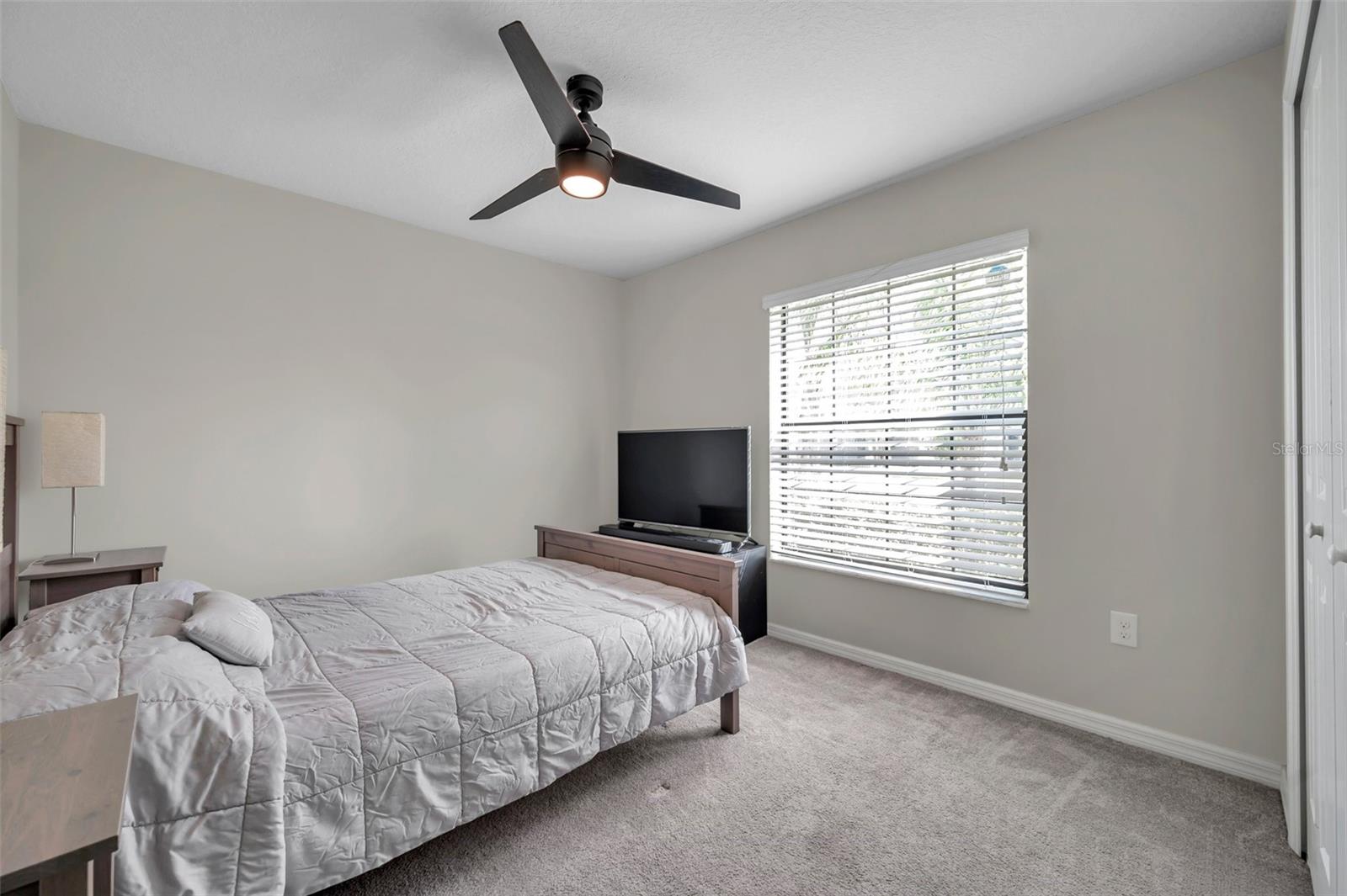 4201 GLOBE THISTLE DR, TAMPA, FL, 33619