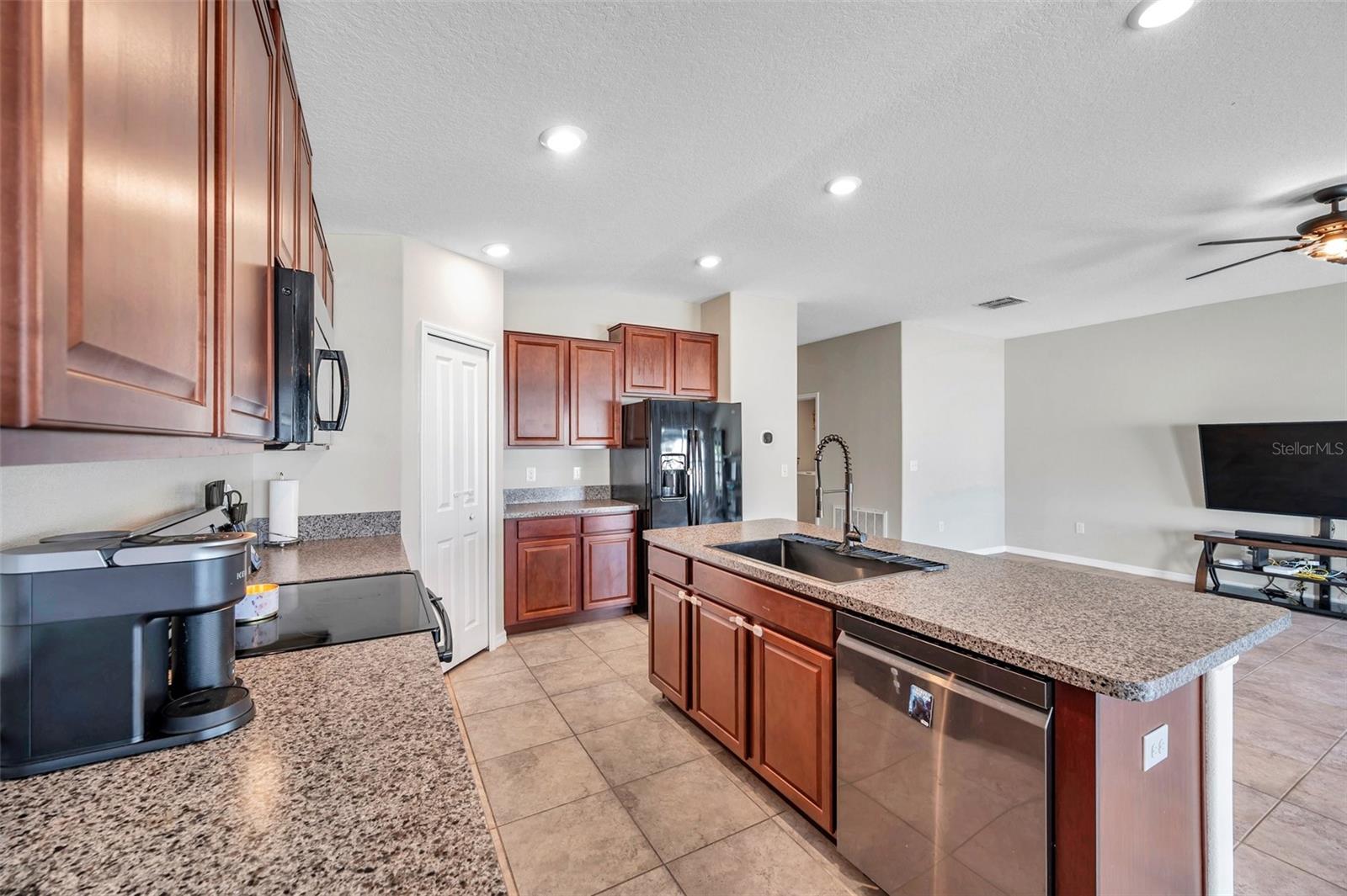 4201 GLOBE THISTLE DR, TAMPA, FL, 33619