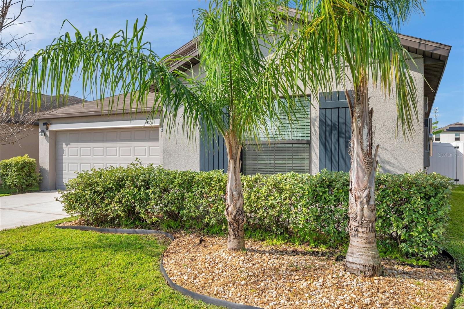 4201 GLOBE THISTLE DR, TAMPA, FL, 33619