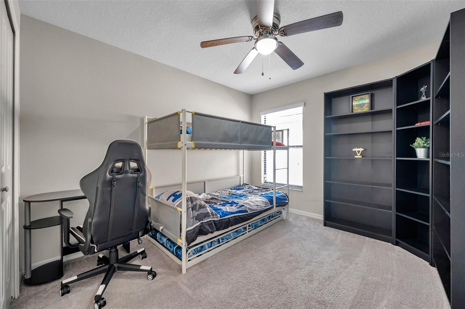 4201 GLOBE THISTLE DR, TAMPA, FL, 33619